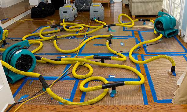 Professional Storm Water Damage Restoration technician working in Walnut Creek, CA